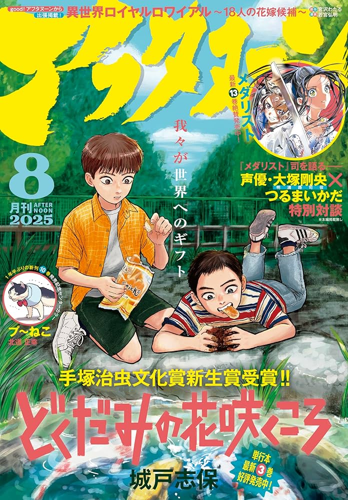 月刊アフタヌーン定期購読特典　アフタヌーン13月号 月刊アフタヌーン定期購読特典 アフタヌーン13月号 - メルカリ